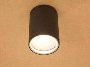 Nowodvorski потолочный светильник Fog I 3403 цена и информация | Потолочные светильники | hansapost.ee