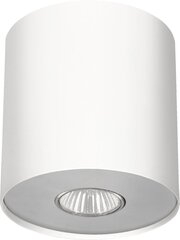 Nowodvorski Lighting потолочный светильник Point 6001 цена и информация | Потолочные светильники | hansapost.ee