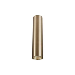 Nowodvorski Lighting laevalgusti Eye Brass M 8912 hind ja info | Laelambid | hansapost.ee