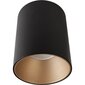 Nowodvorski Lighting laevalgusti Eye Tone Black/Gold 8931 цена и информация | Laelambid | hansapost.ee