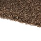 Vaip Shaggy Light Cappucino, 60x100 cm цена и информация | Vaibad | hansapost.ee