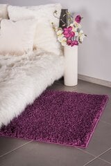 Vaip Shaggy Violet, 160 x 220 cm цена и информация | Коврики | hansapost.ee