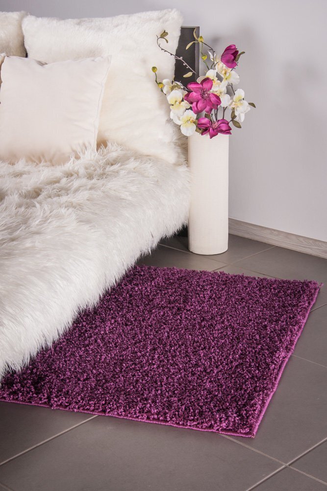 Vaip Shaggy Violet, 160 x 220 cm hind ja info | Vaibad | hansapost.ee