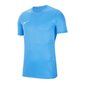 Tüdrukute T-särk Nike Dry Park VII Jr BV6741-412 T-shirt, sinine цена и информация | Särgid tüdrukutele | hansapost.ee