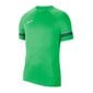 Meeste spordisärk Nike Dri-FIT Academy 21 M CW6101-362, roheline цена и информация | Spordiriided meestele | hansapost.ee