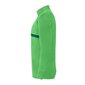 Meeste dressipluus Nike Dri-FIT Academy 21 Dril M CW6110-362, roheline цена и информация | Spordiriided meestele | hansapost.ee