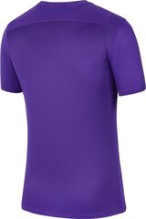 Nike футболка мужская, фиолетовая цена и информация | Мужские футболки | hansapost.ee