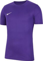 Nike футболка мужская, фиолетовая цена и информация | Nike Для мужчин | hansapost.ee