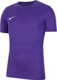Nike футболка мужская, фиолетовая