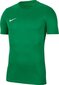 Meeste T-särk Nike, roheline hind ja info | T-särgid meestele | hansapost.ee