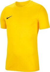 Футболка Nike Sports для мальчиков BV6741 719, желтая цена и информация | Рубашки для мальчиков | hansapost.ee