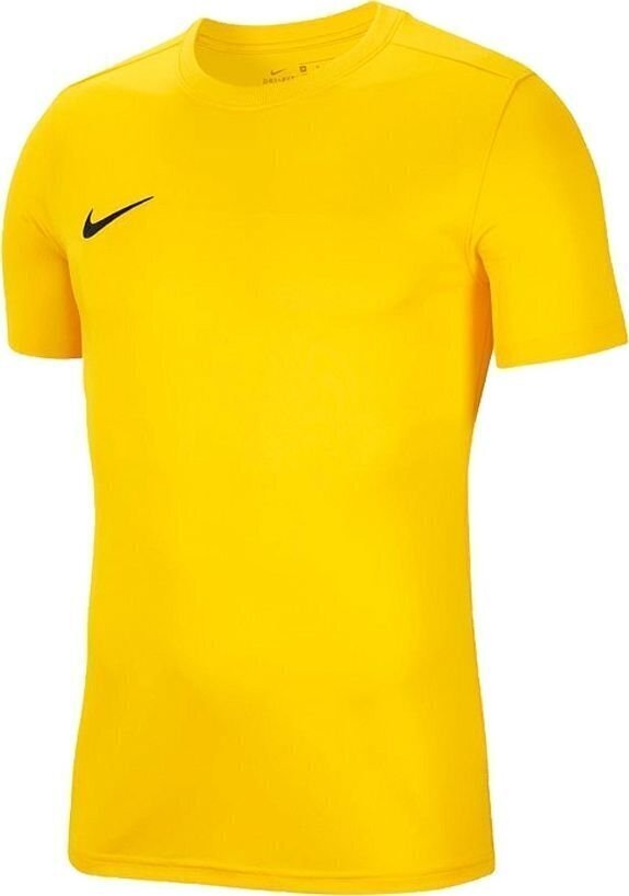 Meeste T-särk Nike BV6741 719, kollane цена и информация | Särgid poistele | hansapost.ee
