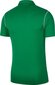 T-särk meestele Nike Dri Fit Park 20 BV6879 302, roheline цена и информация | T-särgid meestele | hansapost.ee