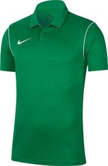 T-särk meestele Nike Dri Fit Park 20 BV6879 302, roheline hind ja info | Nike Meestele | hansapost.ee