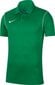 T-särk meestele Nike Dri Fit Park 20 BV6879 302, roheline цена и информация | T-särgid meestele | hansapost.ee