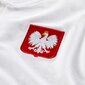 Meeste T-särk Nike Polska Modern Polo 102, valge цена и информация | T-särgid meestele | hansapost.ee