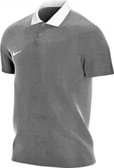 Nike мужская футболка Park 20 CW6933 071, серая цена и информация | Nike Для мужчин | hansapost.ee