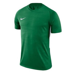 T-särk meestele Nike NK Dry Tiempo Prem JSY SS M 894230302, roheline hind ja info | T-särgid meestele | hansapost.ee