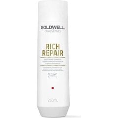 Шампунь для поврежденных волос Goldwell Rich Repair Restoring Shampoo 250 мл цена и информация | Шампуни | hansapost.ee