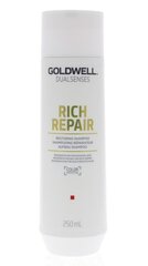 Шампунь для поврежденных волос Goldwell Rich Repair Restoring Shampoo 250 мл цена и информация | Шампуни | hansapost.ee