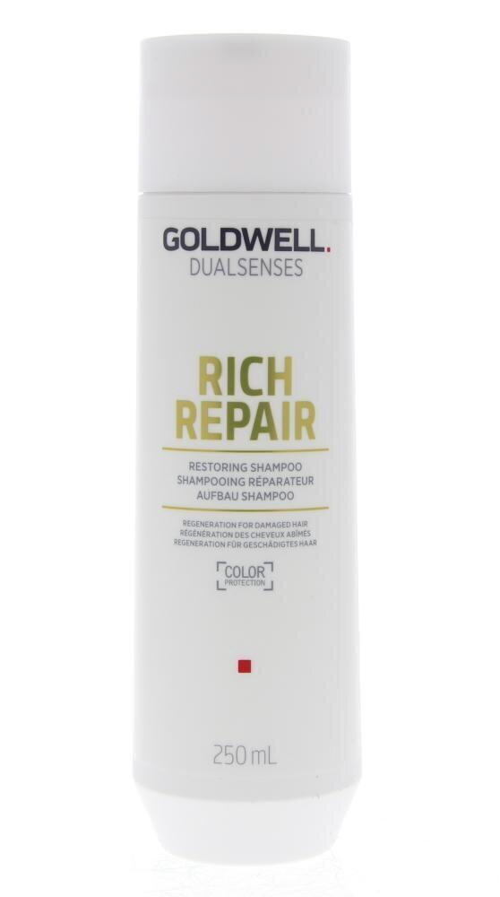 Šampoon kahjustatud juustele Goldwell Rich Repair Restoring Shampoo 250ml hind ja info | Šampoonid | hansapost.ee