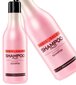 Universaalne juuksešampoon Stapiz Basic Salon Fruit 1000 ml цена и информация | Šampoonid | hansapost.ee