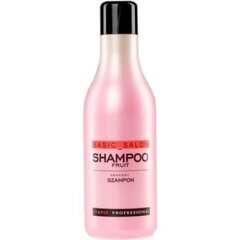 Universaalne juuksešampoon Stapiz Basic Salon Fruit 1000 ml цена и информация | Шампуни | hansapost.ee