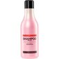 Universaalne juuksešampoon Stapiz Basic Salon Fruit 1000 ml цена и информация | Šampoonid | hansapost.ee