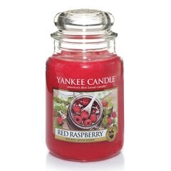 Lõhnaküünal Yankee Candle Red Raspberry 623 g hind ja info | Küünlad, küünlajalad | hansapost.ee