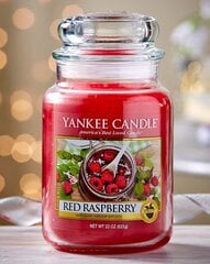 Lõhnaküünal Yankee Candle Red Raspberry 623 g hind ja info | Küünlad, küünlajalad | hansapost.ee