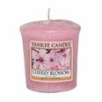 Lõhnaküünal Yankee Candle Cherry Blossom 49g