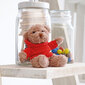 Kaisukaru „Teddy Bear“ цена и информация | Muud kingiideed | hansapost.ee
