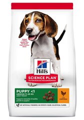 Hill's Science Plan Puppy Medium kuivtoit kutsikatele kanalihaga, 0.8 kg цена и информация | Сухой корм для собак | hansapost.ee