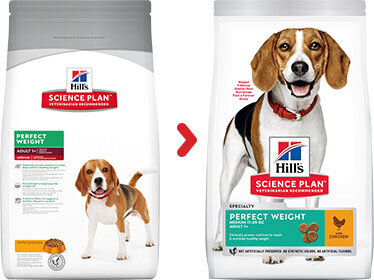 Hill's Science Plan Perfect Weight Medium Adult koeratoit, 2 kg hind ja info | Koerte kuivtoit ja krõbinad | hansapost.ee