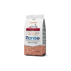 Monge Spec-Line полнорационный корм для маленьких взрослых собак с лососем и рисом 2,5 кг цена и информация | Сухой корм для собак | hansapost.ee