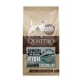 Quattro Small Breed Senior and Diet teraviljavaba kuivtoit väikest tõugu koertele koos valge kalaga, 1,5kg