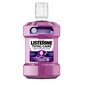 Suuloputusvedelik Listerine Total Care 6in1 1000 ml hind ja info | Hambaharjad, hampapastad ja suuloputusvedelikud | hansapost.ee