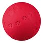 Kummi pall Trixie, 9.5 cm hind ja info | Koerte mänguasjad | hansapost.ee