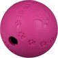 Trixie pall Snack Ball labürint цена и информация | Koerte mänguasjad | hansapost.ee