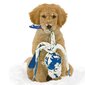 Kong mänguasi koertele Wubba hind ja info | Koerte mänguasjad | hansapost.ee