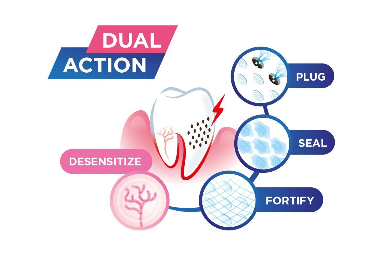 Hambapasta Sensivital + 75ml, tundlike hammaste ja igemete igapäevane kaitse G.U.M.® (6070) hind ja info | Hambaharjad, hampapastad ja suuloputusvedelikud | hansapost.ee
