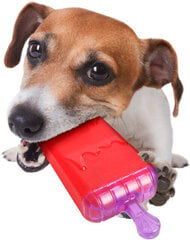 FLAMINGO охлаждающий леденец для собак Ice Lolly 16 см цена и информация | Игрушки для собак | hansapost.ee