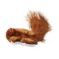 Kong kassi mänguasi Squirrel with Catnip hind ja info | Kasside mänguasjad | hansapost.ee