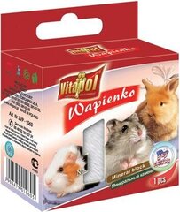 Vitapol минеральный камень для грызунов и кроликов с попкорном 40г цена и информация | Корм для грызунов | hansapost.ee