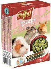 Vitapol капли для грызунов с овощами 75г цена и информация | Корм для грызунов | hansapost.ee