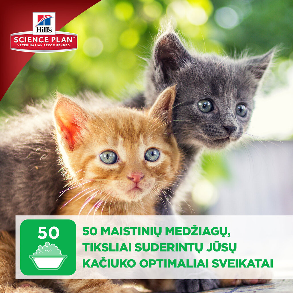 Hill's Science Plan Kitten Healthy Development Multi Pack guljašš kassipoegadele, 85 g x 12tk. hind ja info | Kassikonservid | hansapost.ee