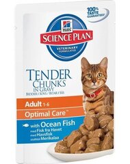 Hill's konserv Science Plan Feline Adult Ocean Fish, 85 g hind ja info | Kassikonservid | hansapost.ee