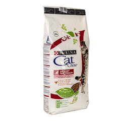 Purina Cat Chow Special Care UTH, 15 kg hind ja info | Purina Lemmikloomatarbed | hansapost.ee