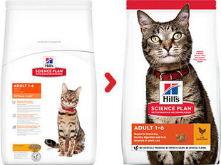 Hill's Science Plan Adult kuivtoit kassidele, kanamaitseline, 15kg hind ja info | Hill's Lemmikloomatarbed | hansapost.ee