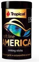 Корм для всеядных и хищных рыб Американская Soft Line America S, 250 мл цена и информация | Корм для живой рыбы | hansapost.ee